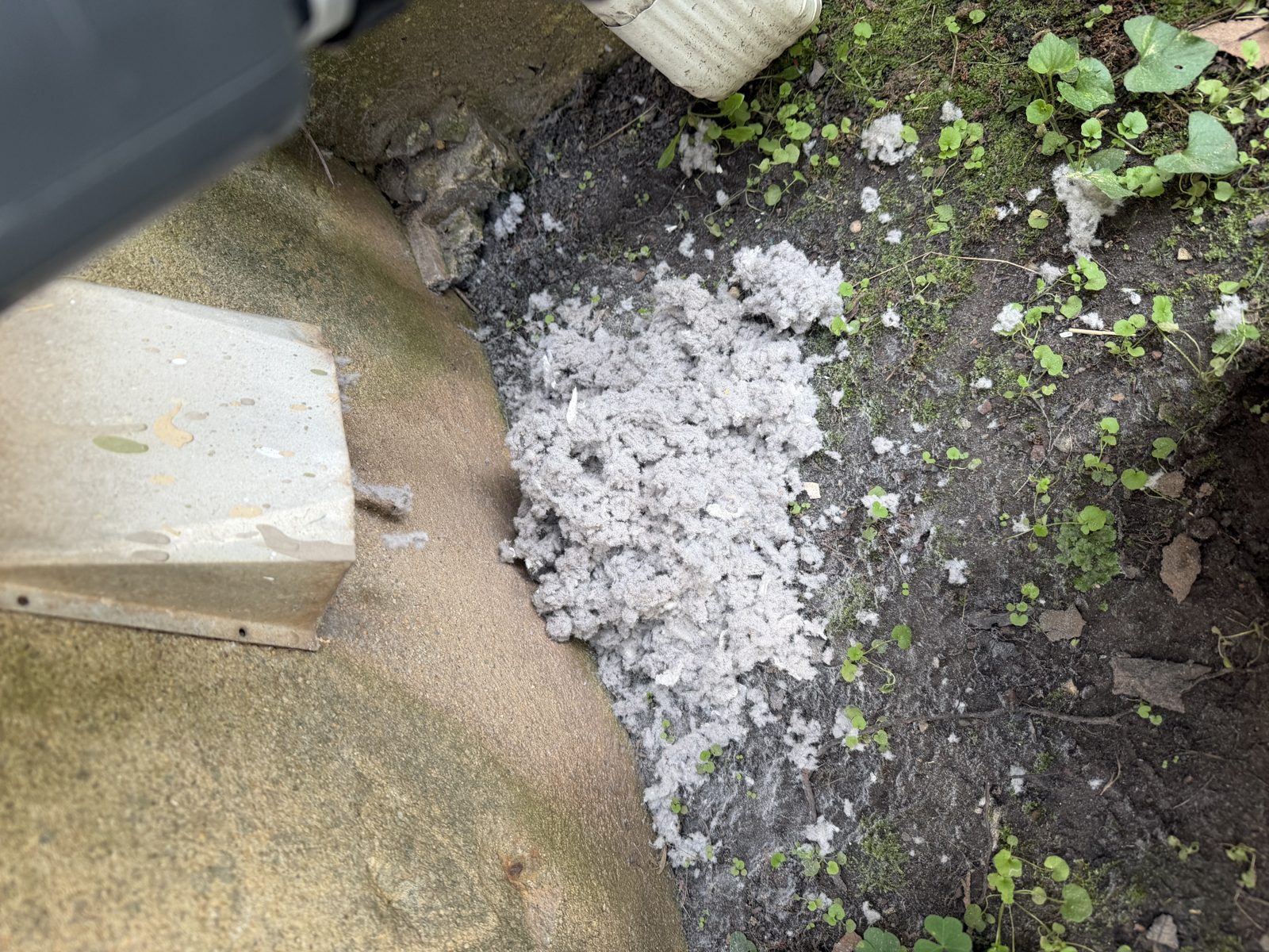 Lint cleared from a dryer vent outside a home